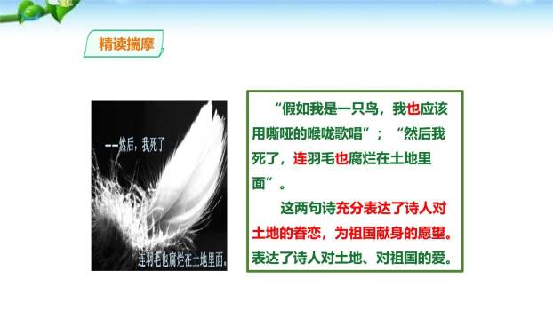我爱这土地PPT课件54