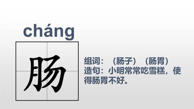我变成了一棵树PPT课件23