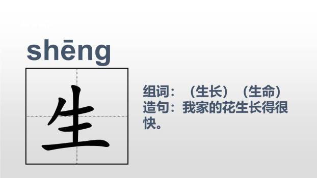 小青蛙PPT课件22