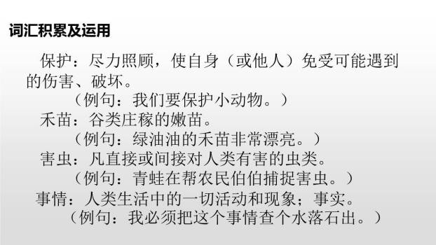 小青蛙PPT课件24