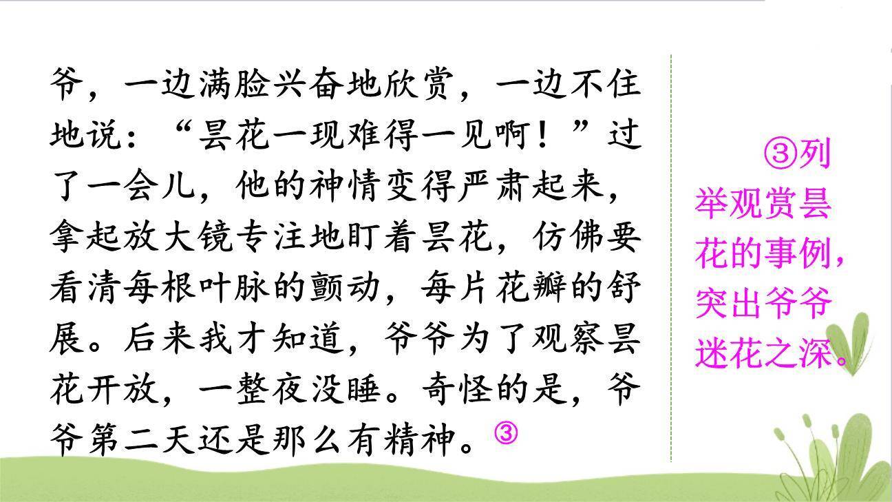 身边那些有特点的人PPT课件28