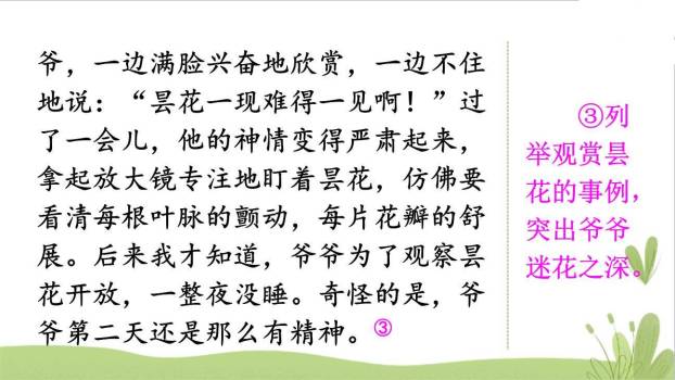 身边那些有特点的人PPT课件28