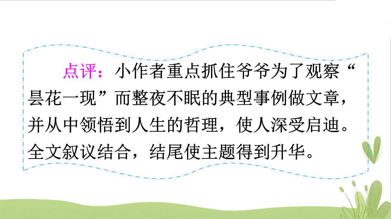 身边那些有特点的人PPT课件21