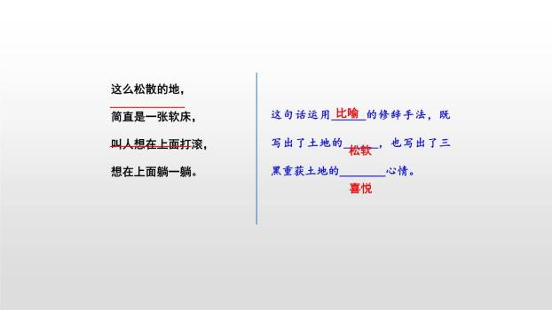 三黑和土地PPT课件18