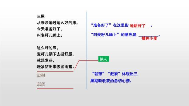 三黑和土地PPT课件19