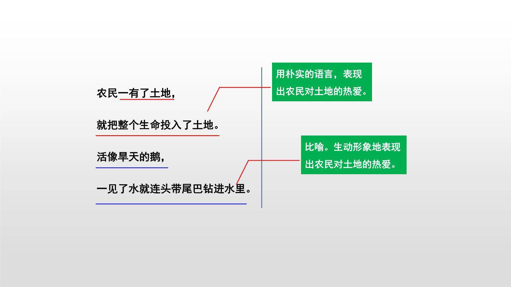 三黑和土地PPT课件13