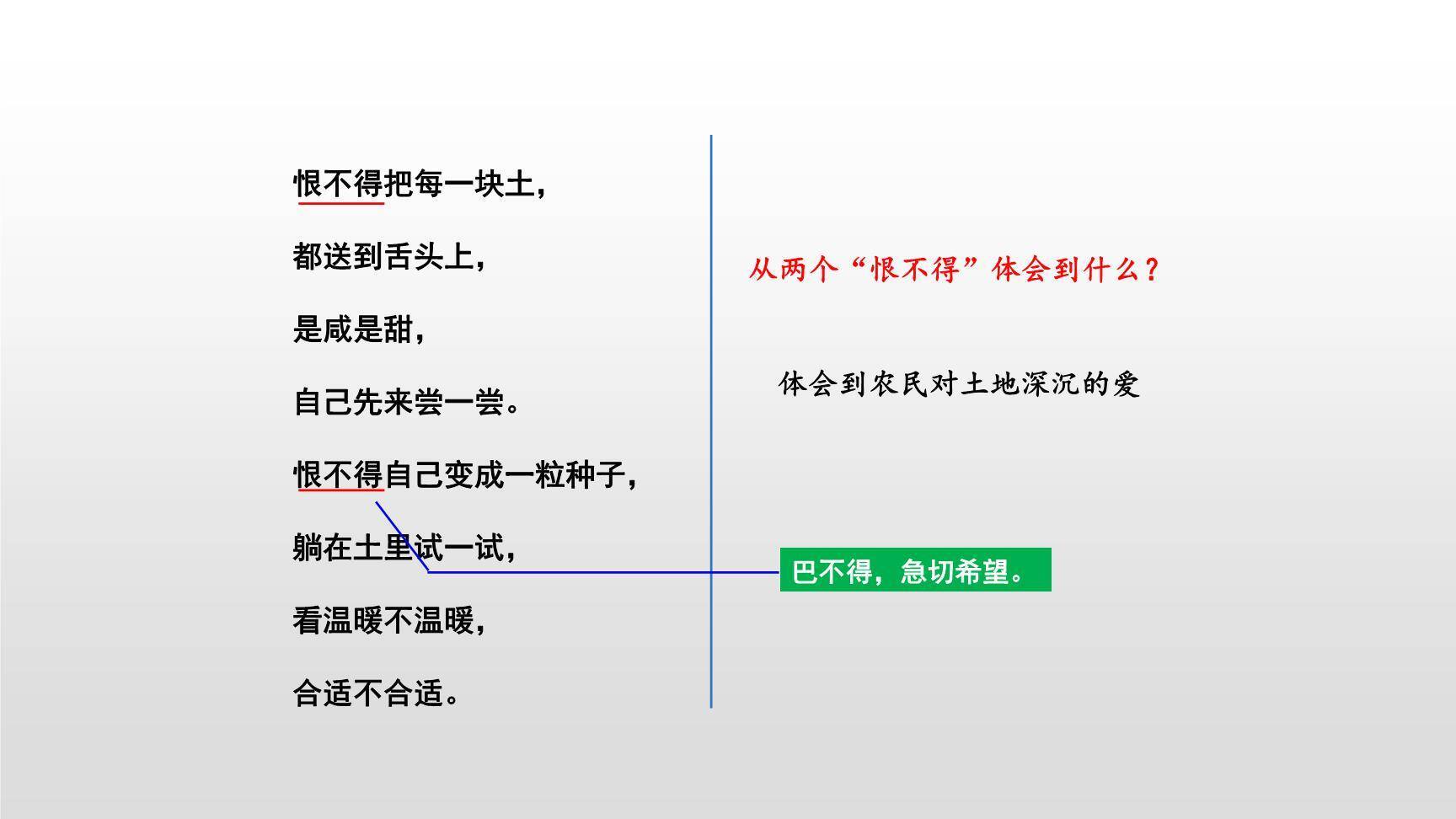 三黑和土地PPT课件15