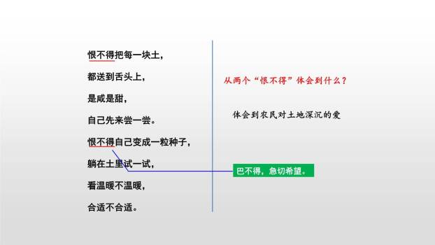 三黑和土地PPT课件15