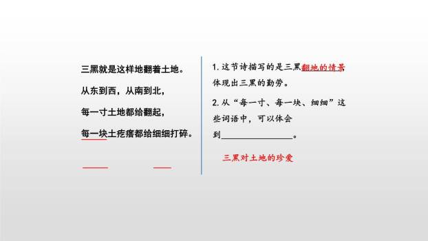 三黑和土地PPT课件16