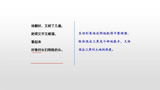 三黑和土地PPT课件17