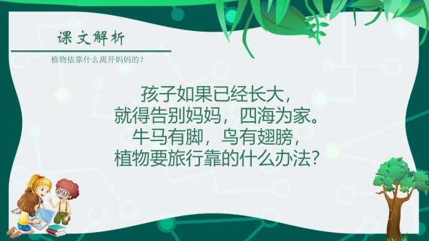 植物妈妈有办法PPT课件45