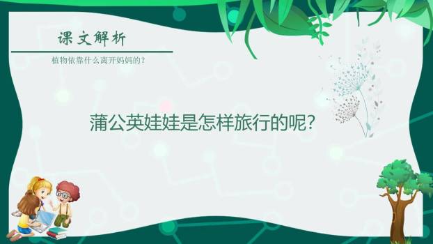 植物妈妈有办法PPT课件47