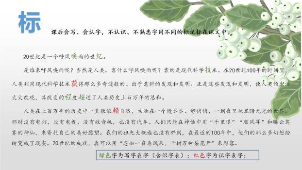 呼风唤雨的世纪PPT课件15