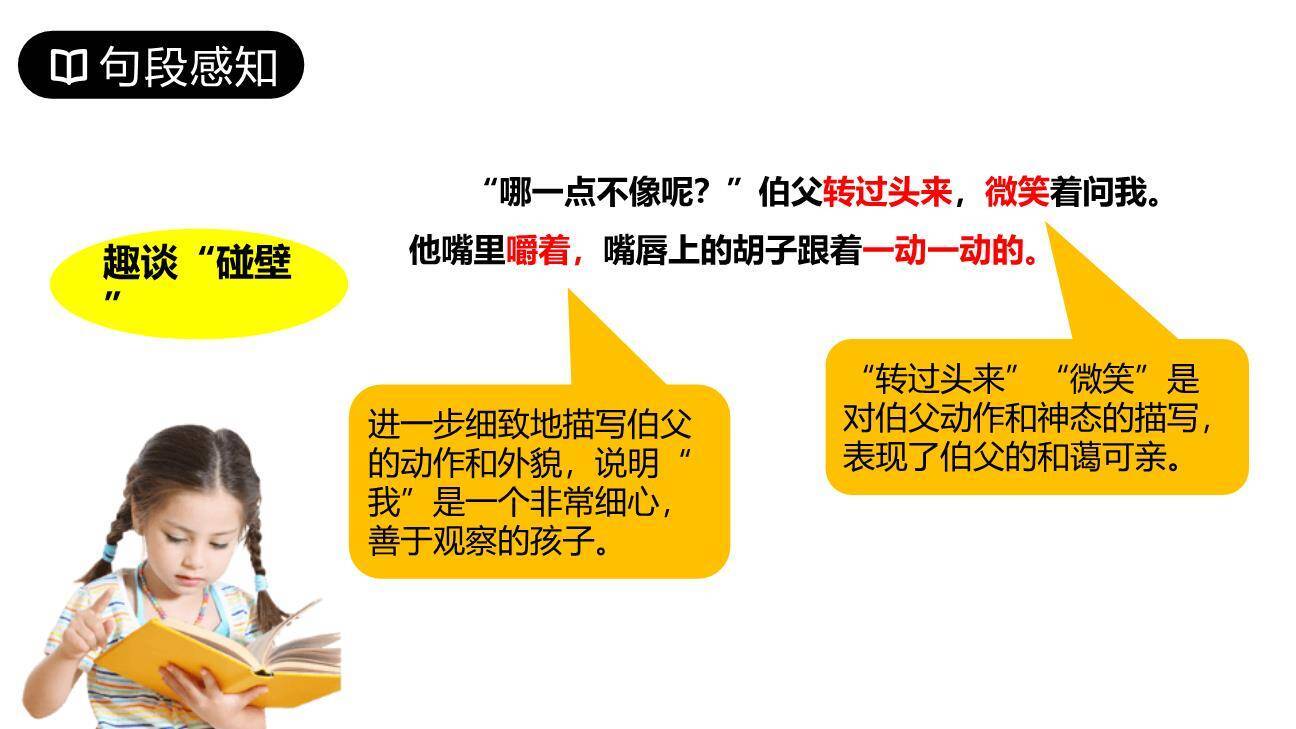 我的伯父鲁迅先生PPT课件34