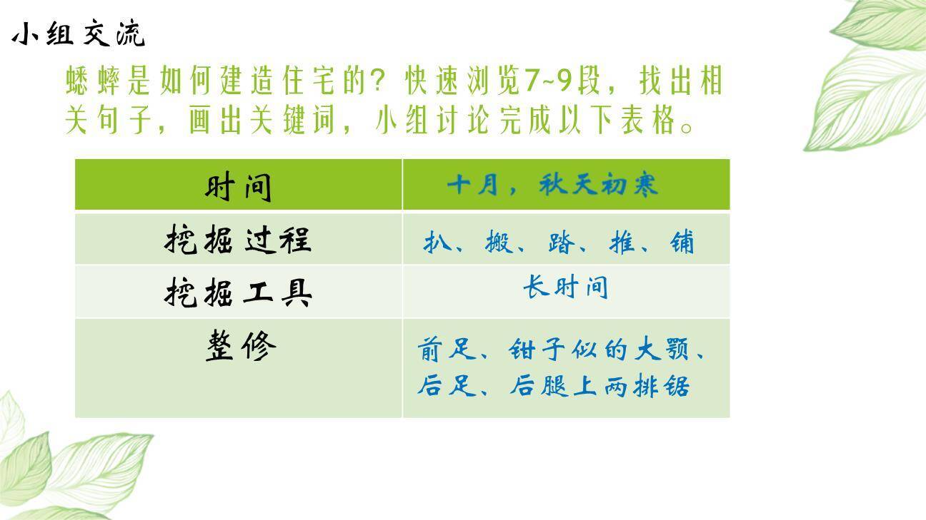 蟋蟀的住宅PPT课件55