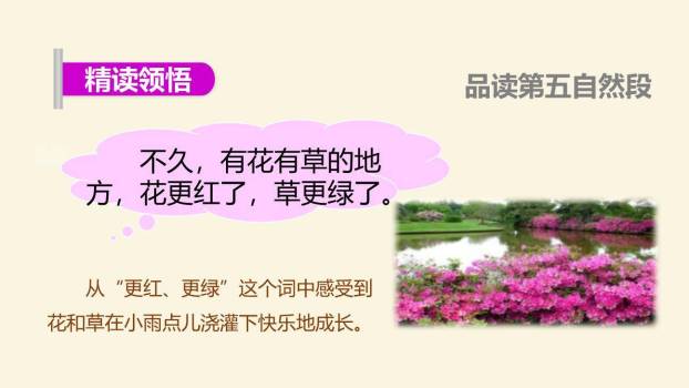 雨点儿PPT课件12