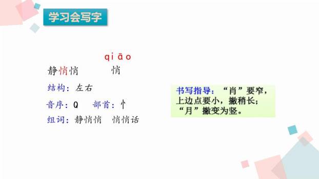 搭船的鸟PPT课件55
