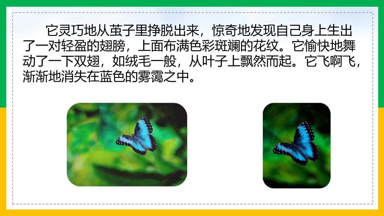 小毛虫PPT课件58