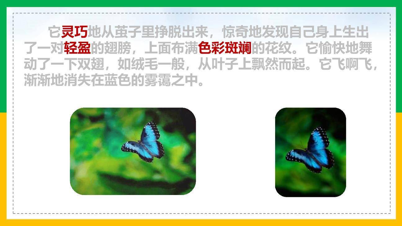 小毛虫PPT课件59