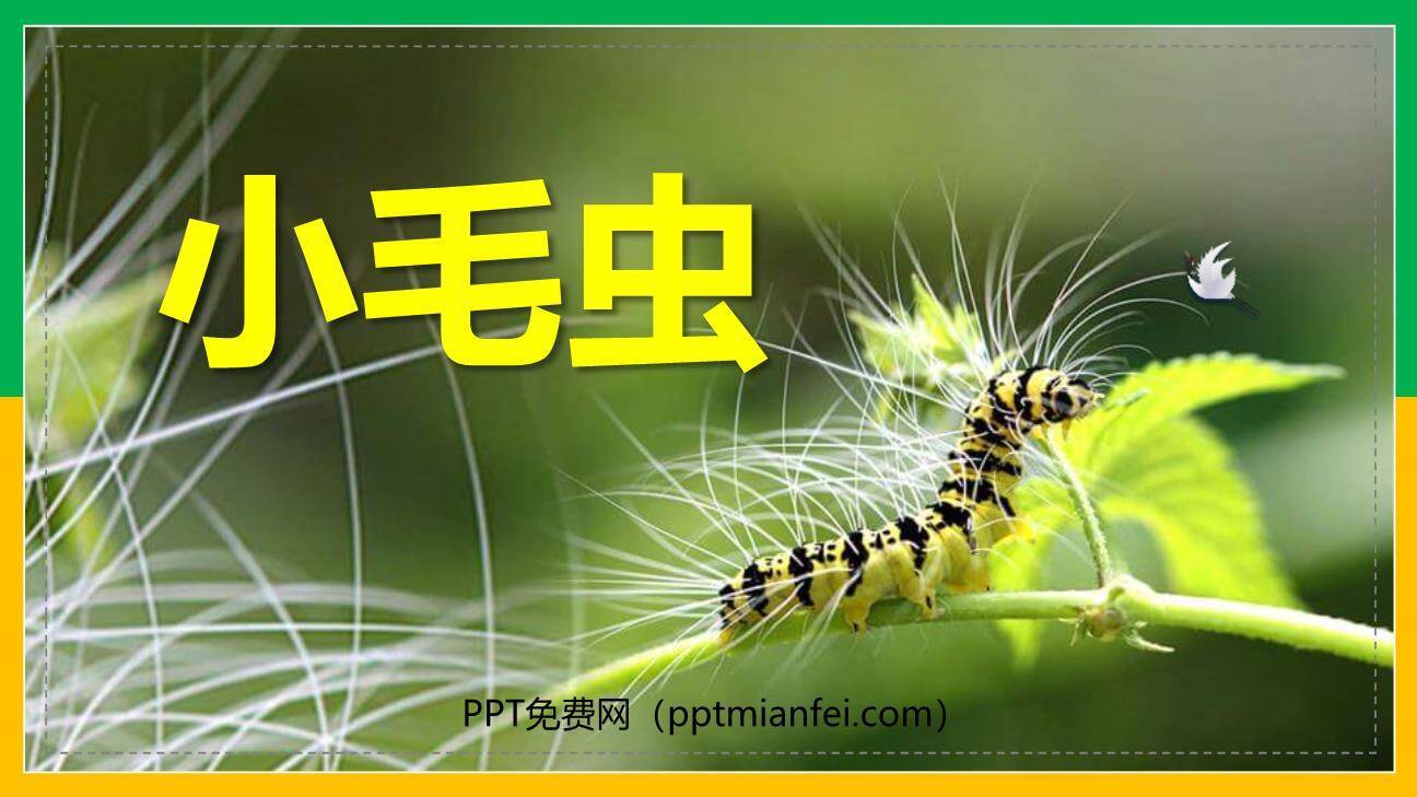 小毛虫PPT课件50