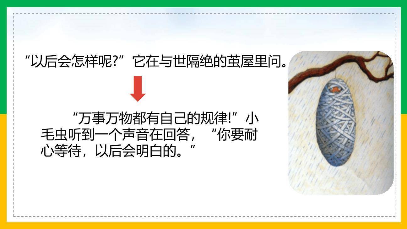 小毛虫PPT课件54