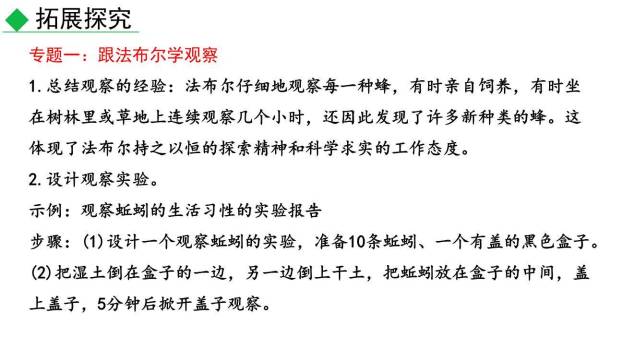 昆虫记PPT课件29