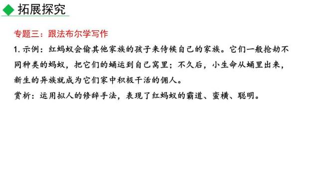 昆虫记PPT课件21