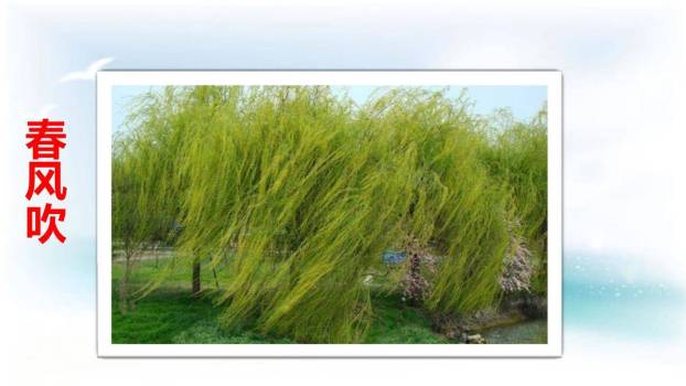 春夏秋冬PPT课件52