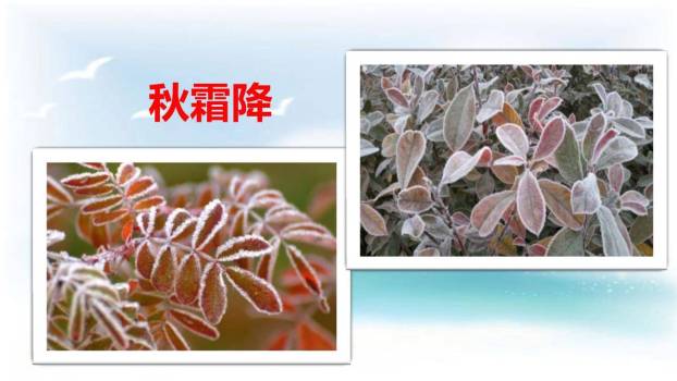 春夏秋冬PPT课件54