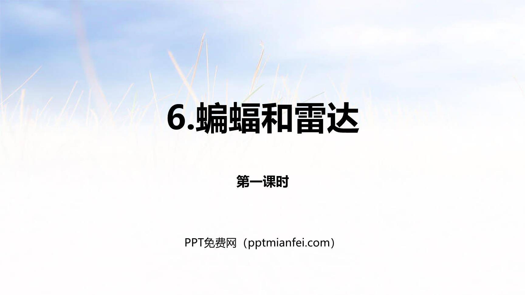 蝙蝠与雷达PPT课件20