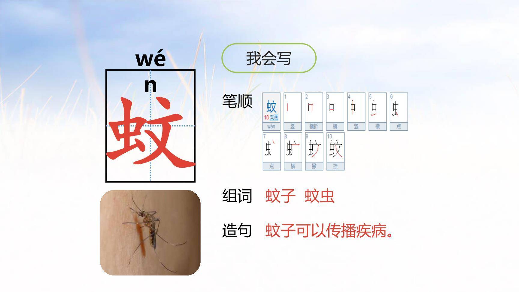 蝙蝠与雷达PPT课件22