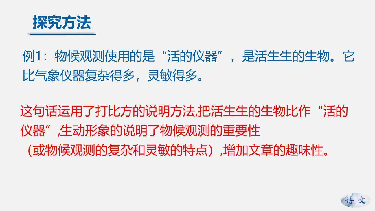 大自然的语言PPT课件74