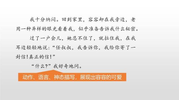 习作例文PPT课件11