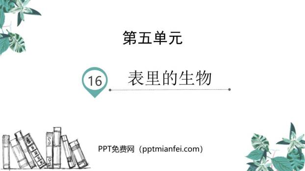 表里的生物PPT课件80