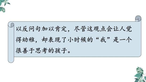 表里的生物PPT课件81