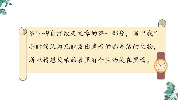 表里的生物PPT课件87