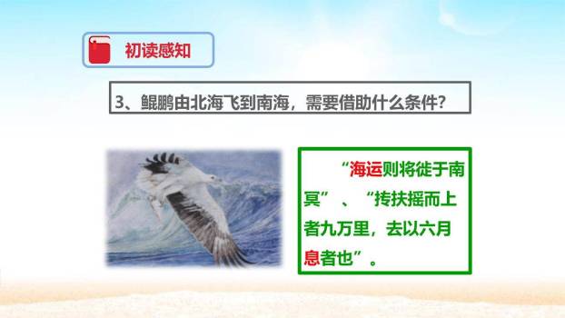 北冥有鱼PPT课件39