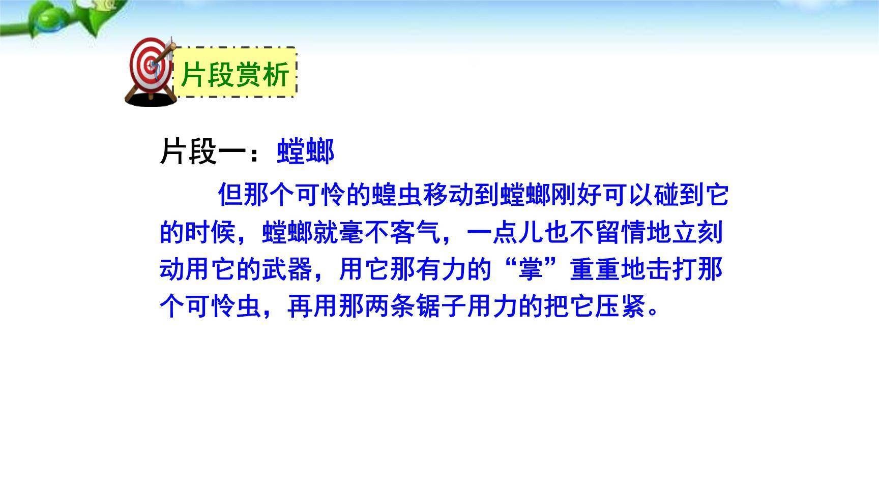 昆虫记PPT课件38