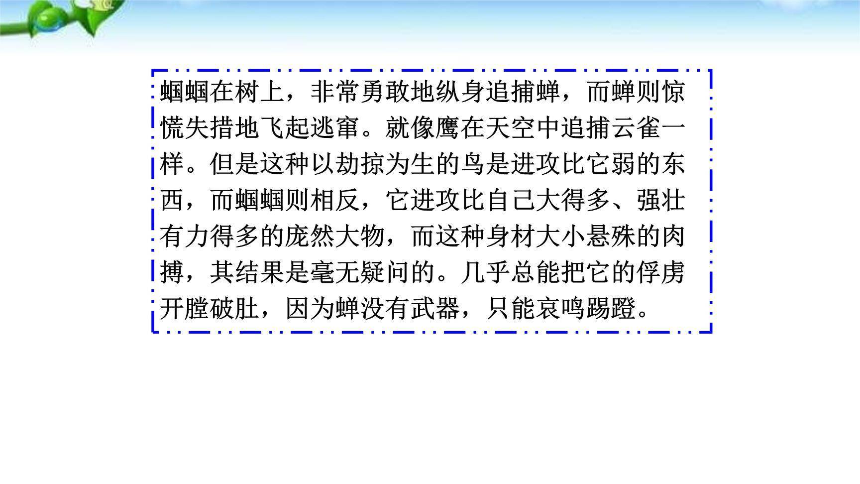 昆虫记PPT课件35