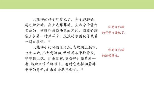 围绕提纲写作文PPT课件29