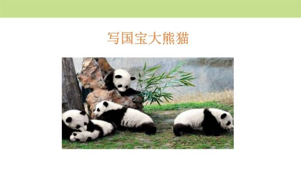 围绕提纲写作文PPT课件23