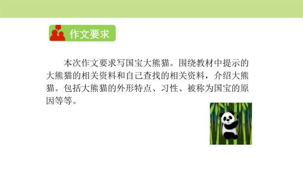 围绕提纲写作文PPT课件24