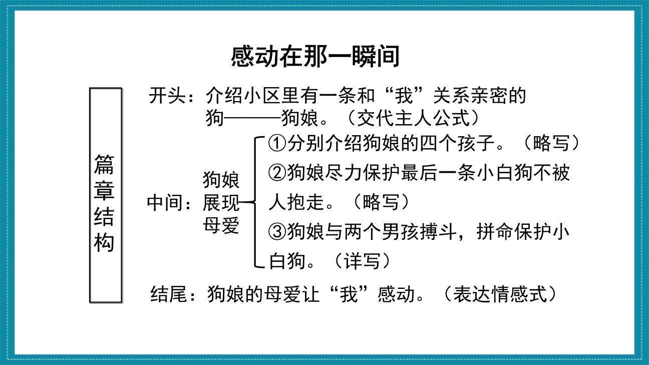 让真情自然流露PPT课件48