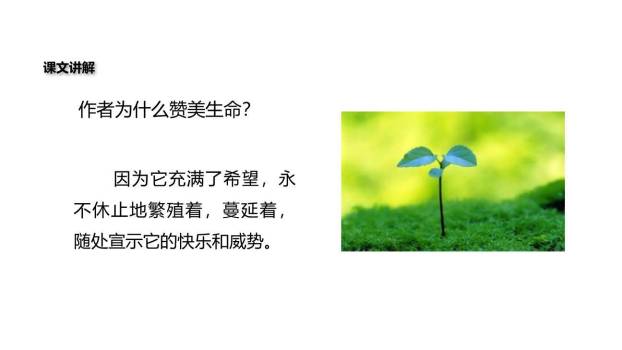 永久的生命PPT课件33