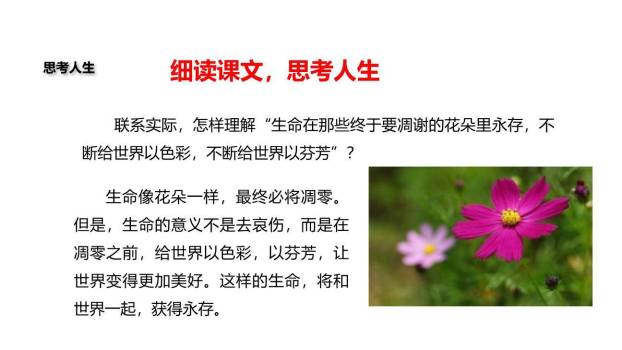 永久的生命PPT课件34