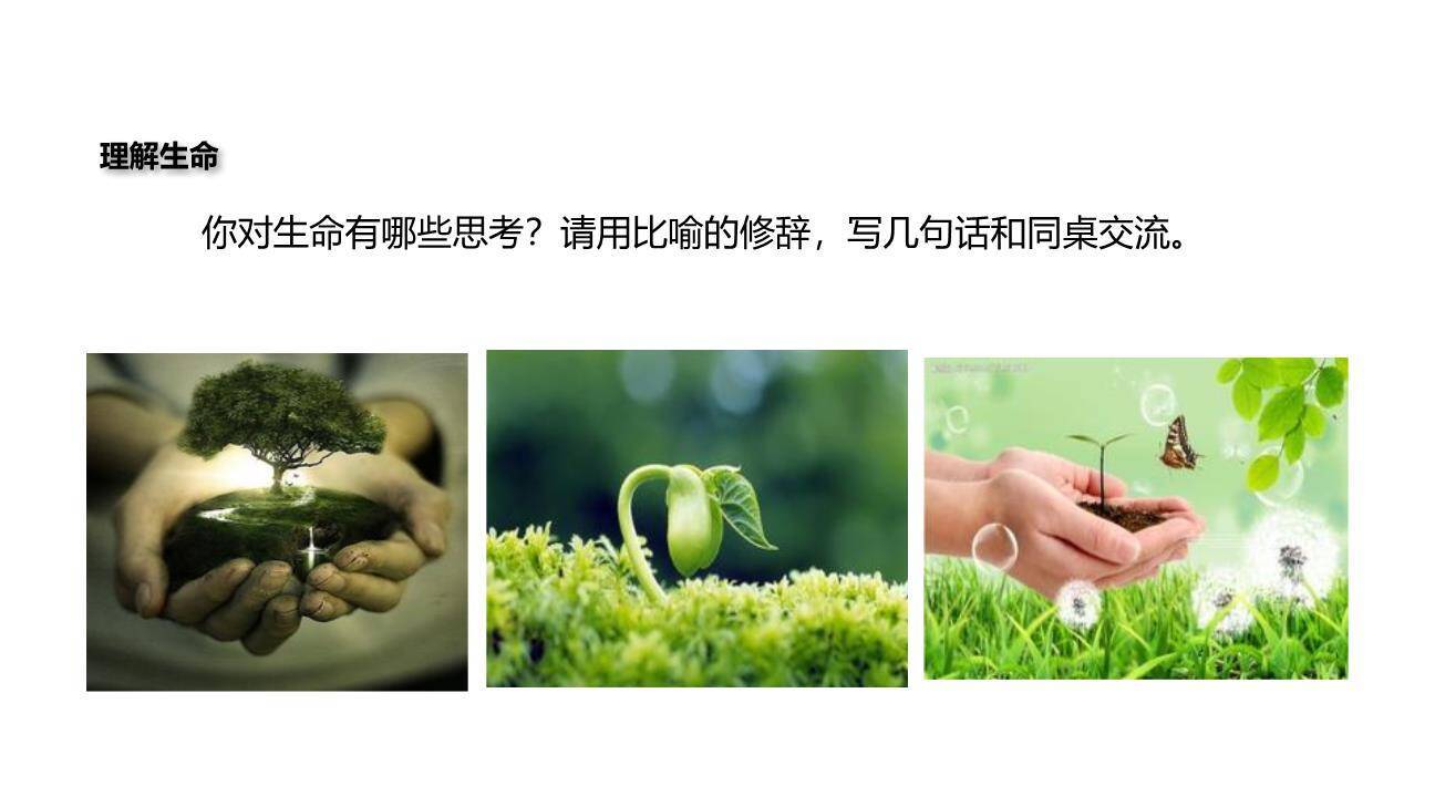 永久的生命PPT课件36