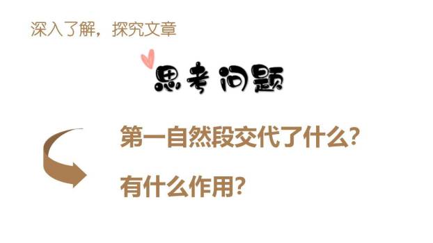 他们那时候多有趣啊PPT课件11