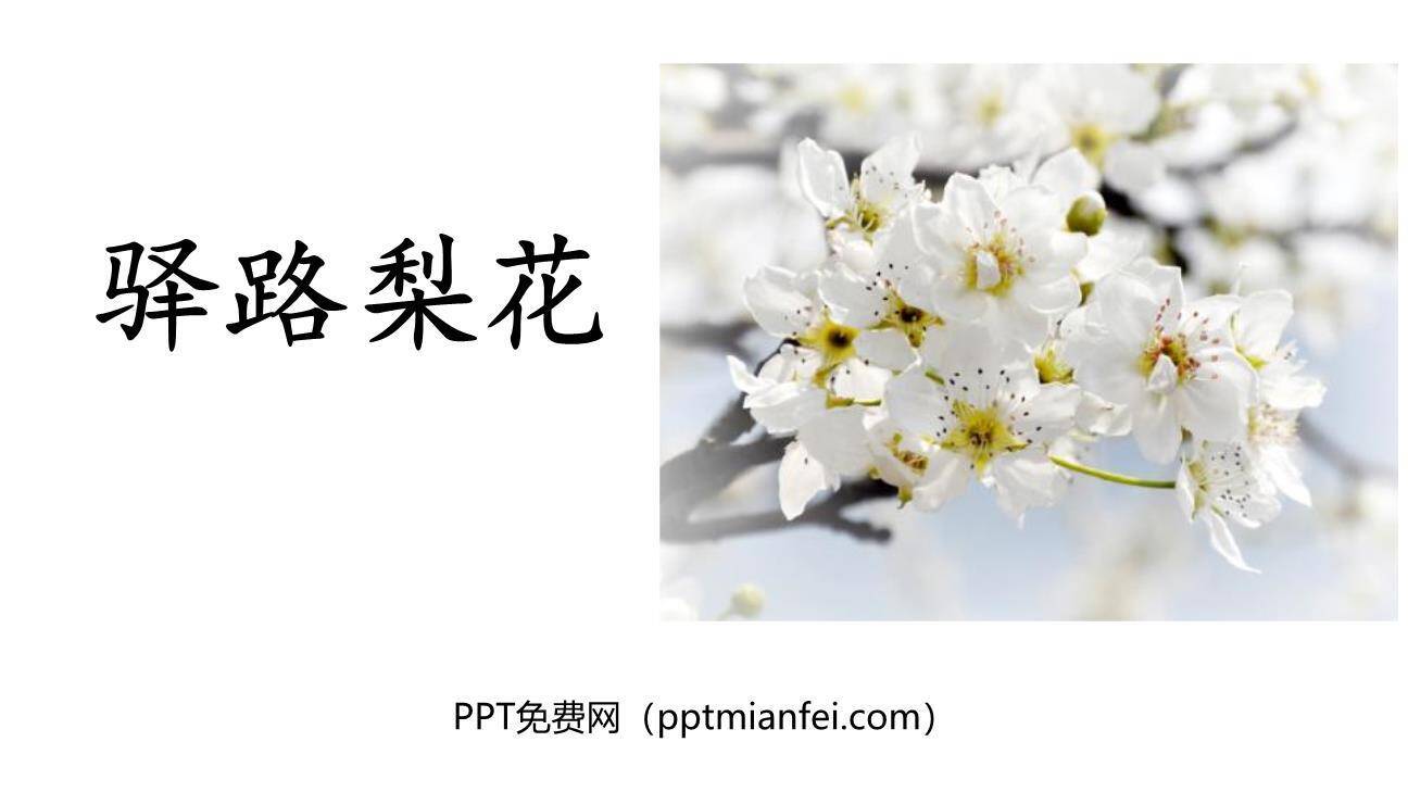 驿路梨花PPT课件80