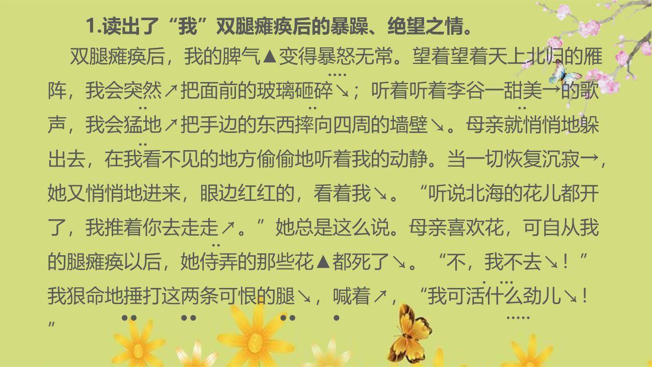 秋天的怀念PPT课件35