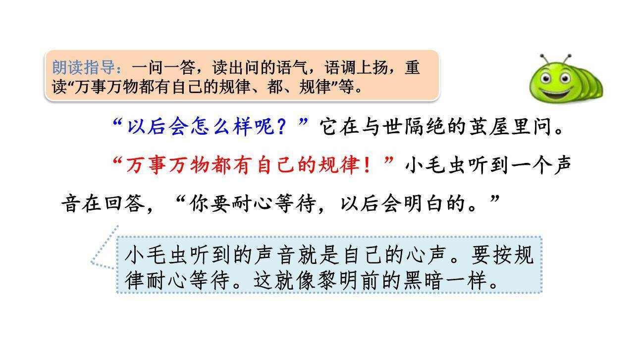 小毛虫PPT课件72